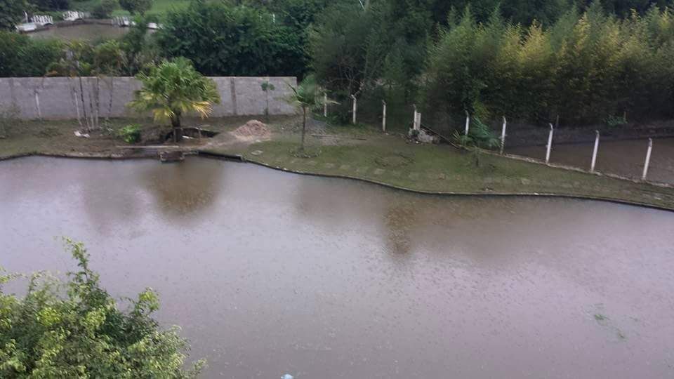 Sítio, 3 quartos, 2500 m² - Foto 8
